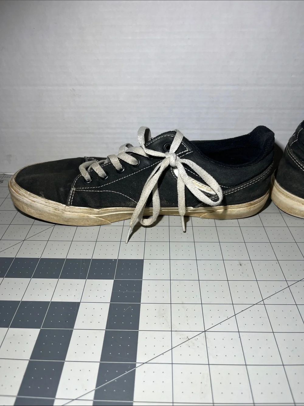 Vans Black and White Low-Top Skate Sneakers